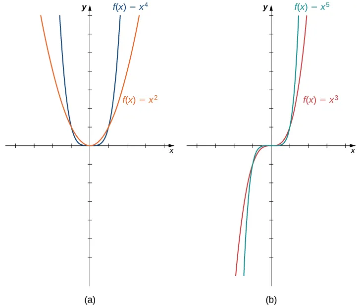 described in detail following the image